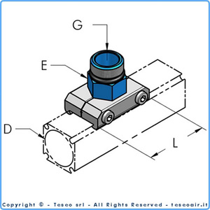 6040064.jpg