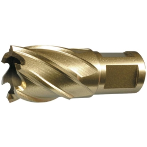 KÄRNBORR 32X50MM HSSCO