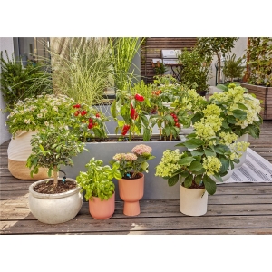 Micro-Drip Startset Terrass (30 plantor)